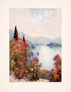 1908 Print Villa Serbelloni Lake Como Botanical Landscape Italy Ella Du XGHA5