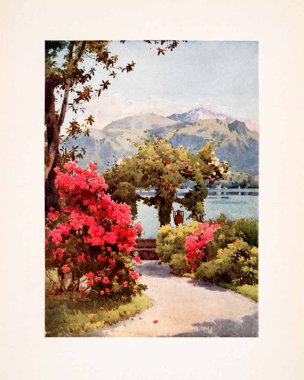 1908 Print Villa Carlotta Lake Como Botanical Landscape Italy Ella Du Cane XGHA5