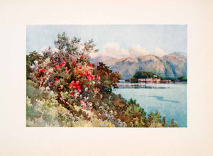 1908 Print Villa Carlotta Lake Como Roses Wildflowers Landscape Ella Du XGHA5