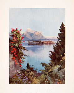 1908 Print Baveno Italy Commune Garden Landscape Lake Maggiore Ella Du XGHA5