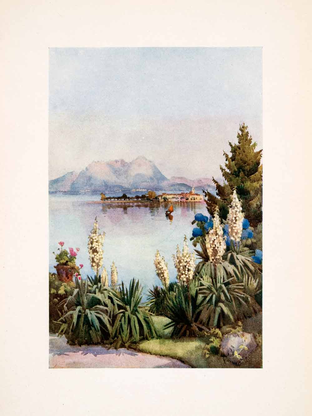 1908 Print Isola Pescatori Lake Maggiore Italy Floral Landscape Ella Du XGHA5
