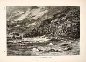1875 Wood Engraving Wind Storm Birds Ucayali River Rainforest South XGHC1