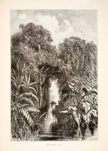 1875 Wood Engraving Sapota Canal Amazon River Rainforest South America XGHC1