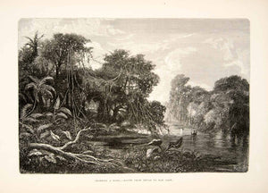 1875 Wood Engraving Amazon River Crossing Ford Rainforest South America XGHC1