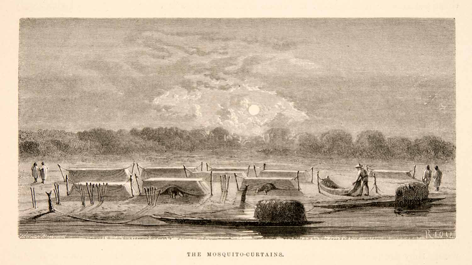 1875 Wood Engraving Camp Rainforest Mosquito Curtain South America Tent XGHC1