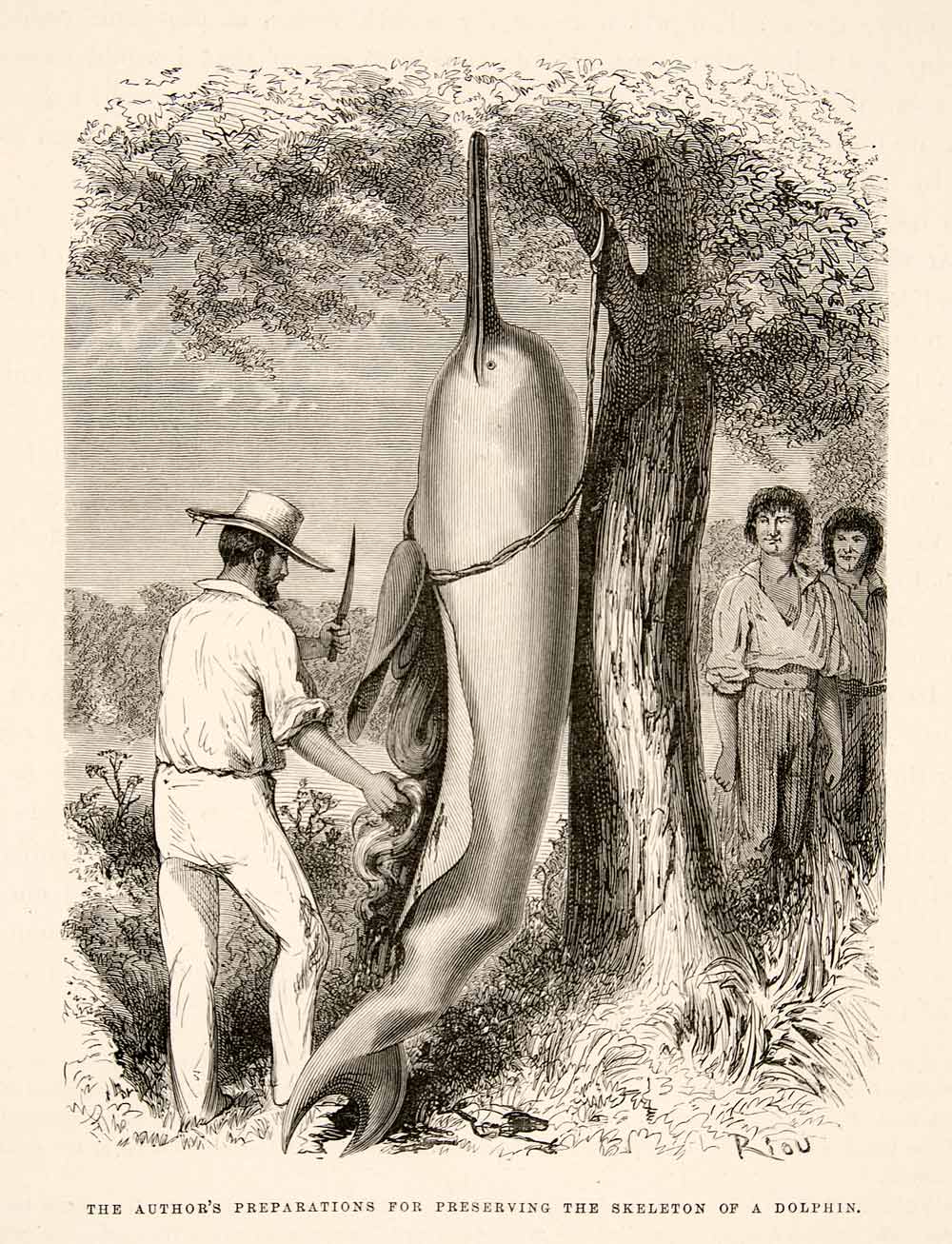 1875 Wood Engraving Dolphin Hunt South America Cocama Indians Ucayali XGHC1