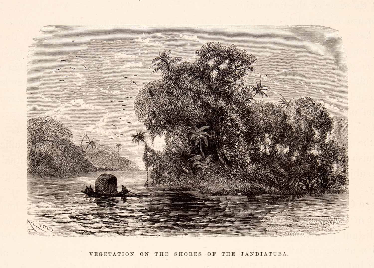 1875 Wood Engraving Vegetation Shore Jandiatuba River South America Canoe XGHC1