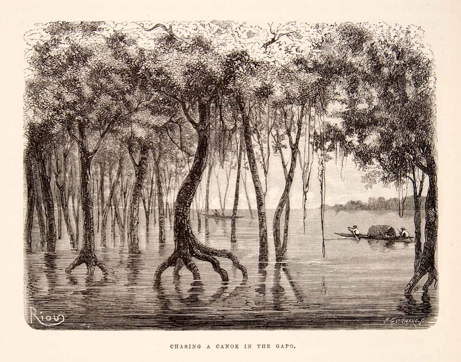 1875 Wood Engraving Canoe Chase Gapo Grove Brazil Amazon River South XGHC1
