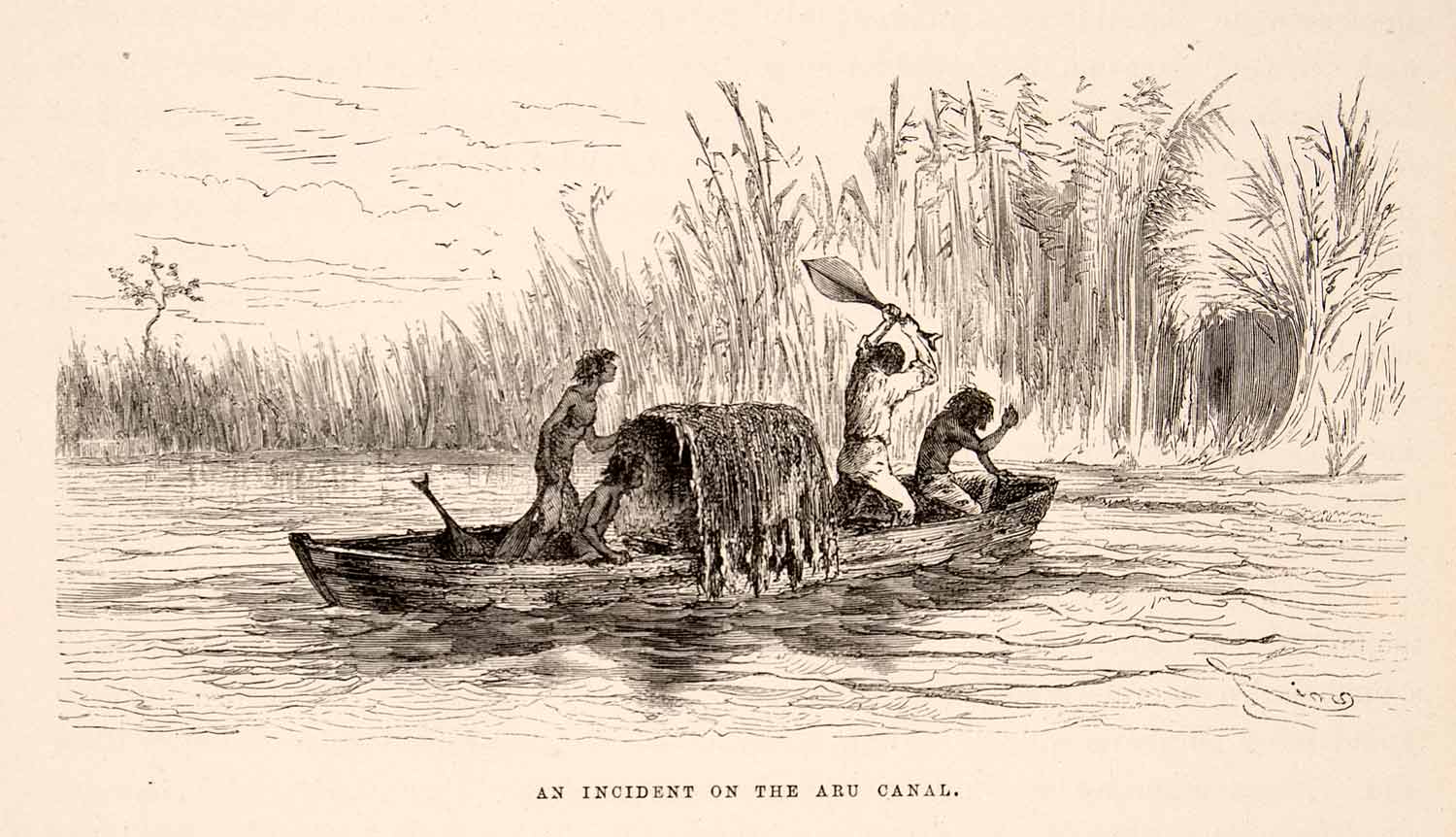 1875 Wood Engraving Aru Canal Canoe Brazil South America Shore Paddle XGHC1