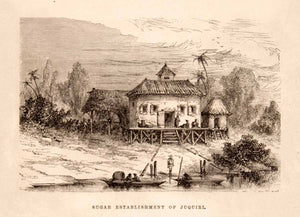 1875 Wood Engraving Sugar Cane Plantation Juquiri Bank Amazon River Canoe XGHC1