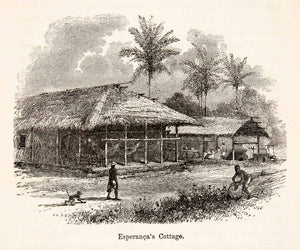 1868 Wood Engraving Cottage Esperanca Dwelling House Building Brazil Palm XGHC3