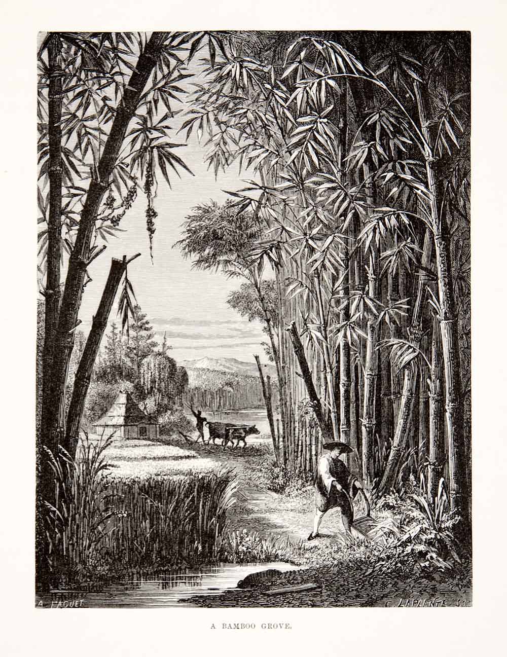 1874 Wood Engraving Japan Japanese Bamboo Grove Bull Hut Landscape XGHC8