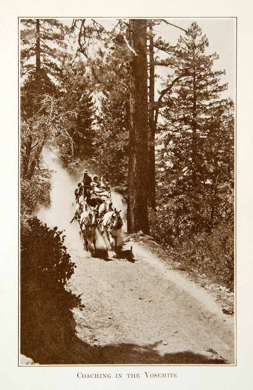 1916 Print Coach Yosemite Trail National Park Path Historical Image Nature XGHD3