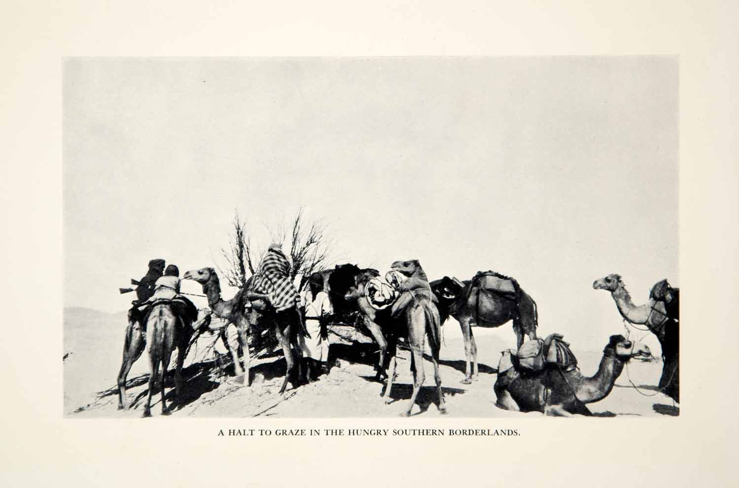 1932 Print Camel Caravan Saudi Arabia Felix Desert Dromedary Middle East XGHD7
