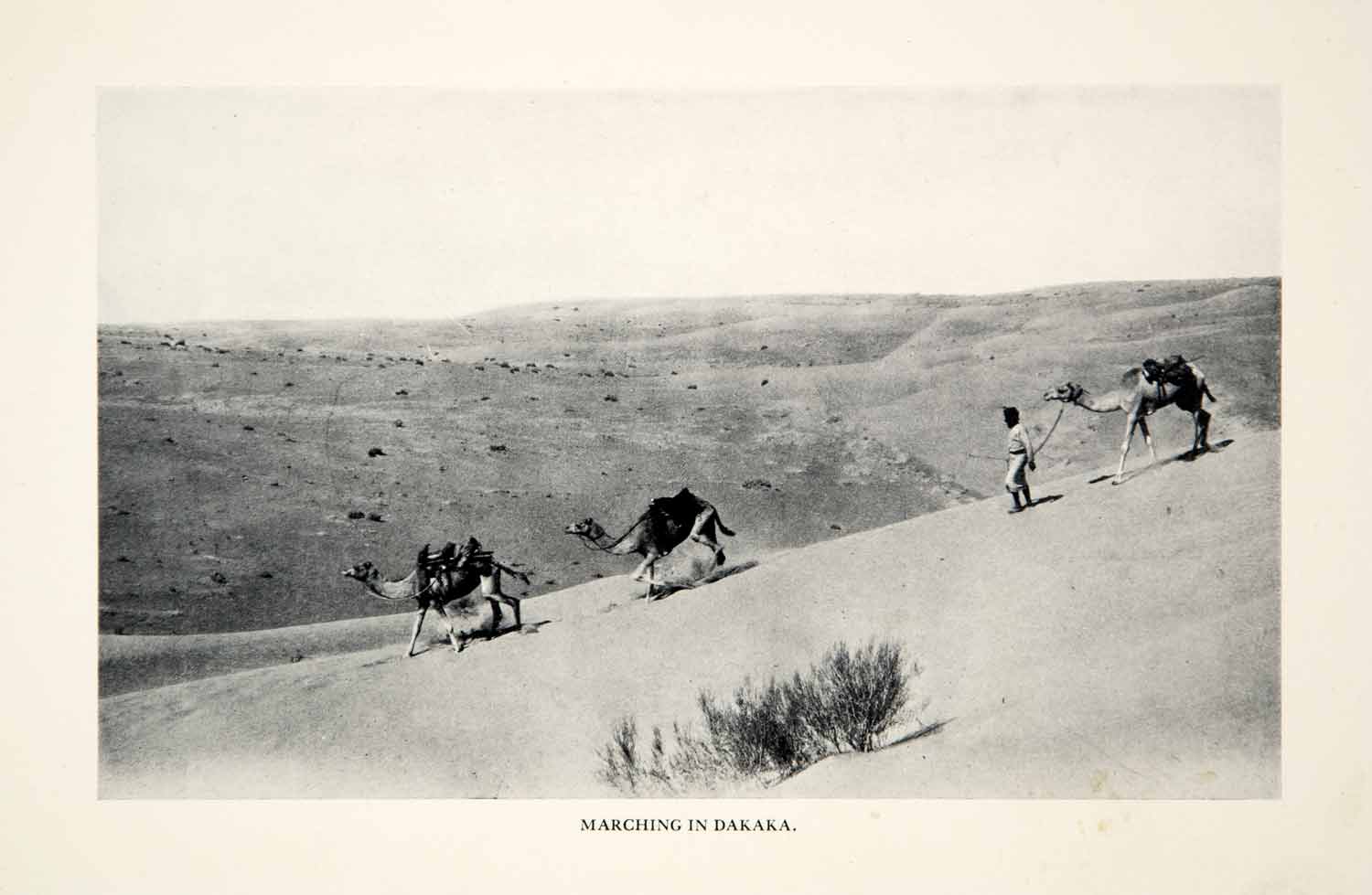 1932 Print Camel Caravan Dakaka Camel Desert Dune Arabia Felix Middle East XGHD7
