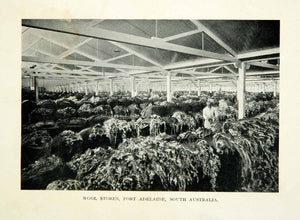 1910 Print Wool Stores Port Adelaide South Australia Fleece Raw XGHD8