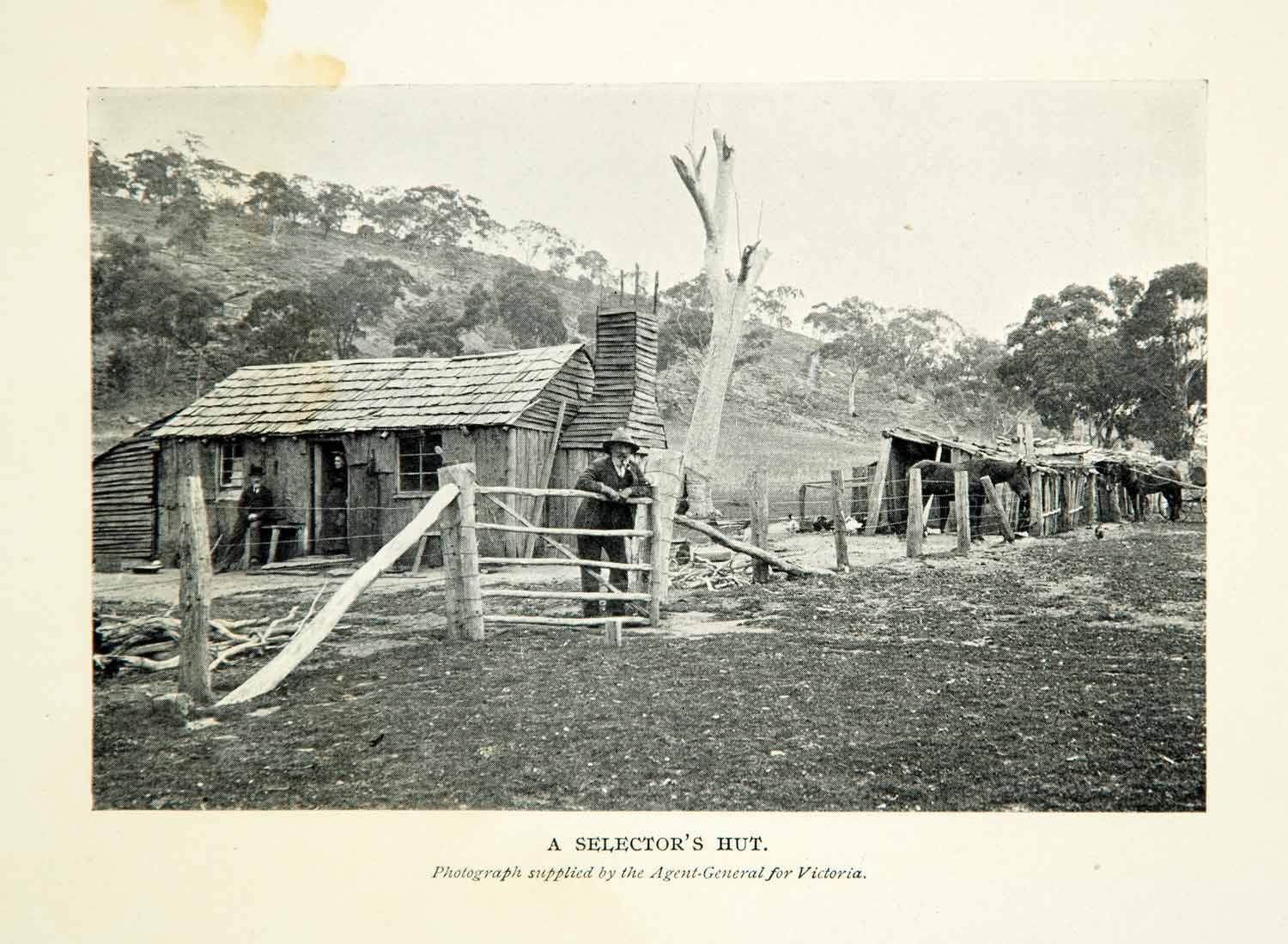 1910 Print Selector's Hut Australian Historical Image Land Victoria XGHD8