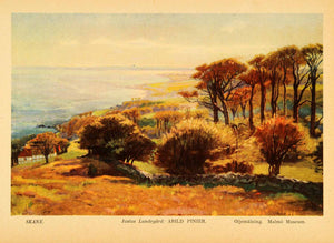 1936 Print Justus Lundegard Art Arild Pinier Sweden Landscape Skane XGI1