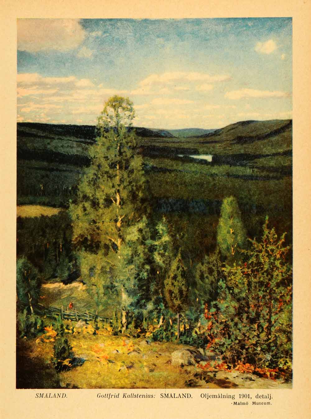1936 Print Gottfrid Kallstenius Artwork Smaland Sweden Landscape Malmo XGI1