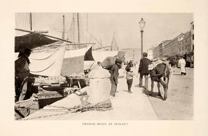 1908 Print Split Donkey Croatia Dalmatia Holbach Orange Vendor Market Boat XGIA1
