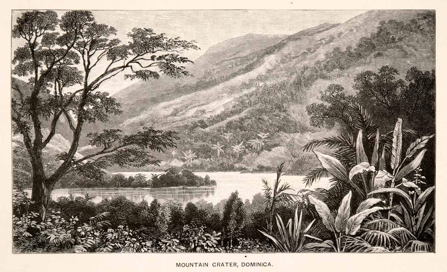 1888 Wood Engraving Pearson Art Mountain Crater Landscape Dominica James XGIA9