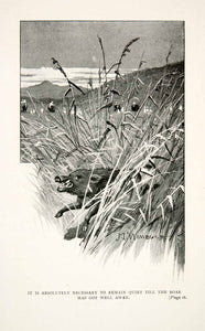 1900 Print John L. Wimbush Artwork Wild Boar Wildlife Middle Eastern XGIB8