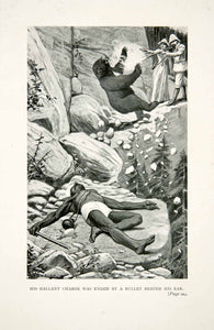 1900 Print John Wimbush Art Bear Attack Dead Body Hunting Wildlife Rifle XGIB8