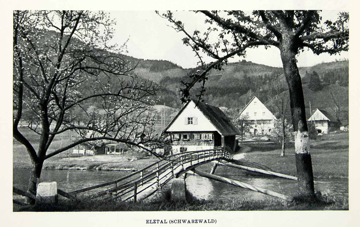 1952 Rotogravure Germany Elztal Schwarzwald Rural Baden Wurrtemberg Black XGIC3