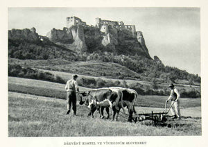 1952 Rotogravure Dregely Castle Hungary Ruins Archeology Farmers Cattle XGIC3