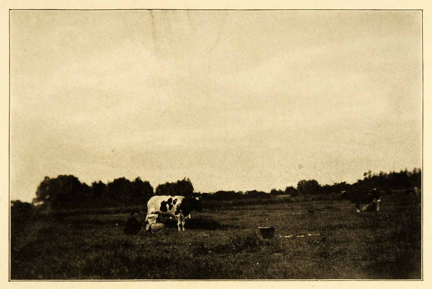 1911 Print Zeeland Holland Milkmaid Cattle Livestock Agriculture Historic XGJ3