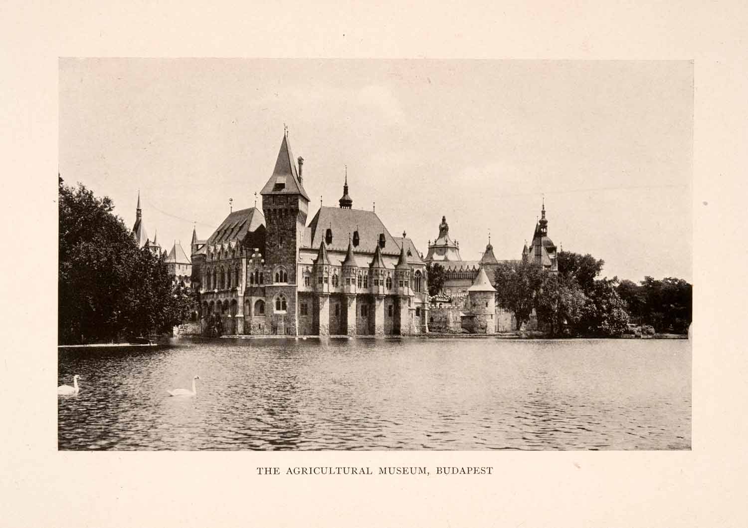 1908 Print Budapest Hungary Agricultural Museum Architecture Historic XGJA7
