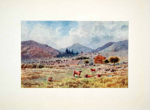 1906 Color Print Wigram Spain San Lorenzo Escorial Residence Castle Estate XGJB3