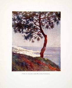 1905 Color Print View Algiers Mustapha Superieur XGJB6