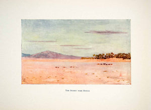 1905 Color Print Desert Biskra Dry Arid Region Sand Trees Mountains XGJB6