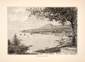 1892 Wood Engraving (Photoxylograph) Funchal Island Madeira Archipelago XGJC1