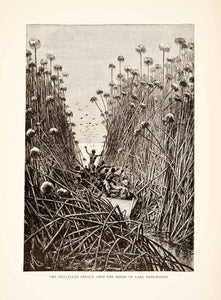 1892 Wood Engraving (Photoxylograph) Reeds Sky Lake Bangweulu Zambia XGJC1