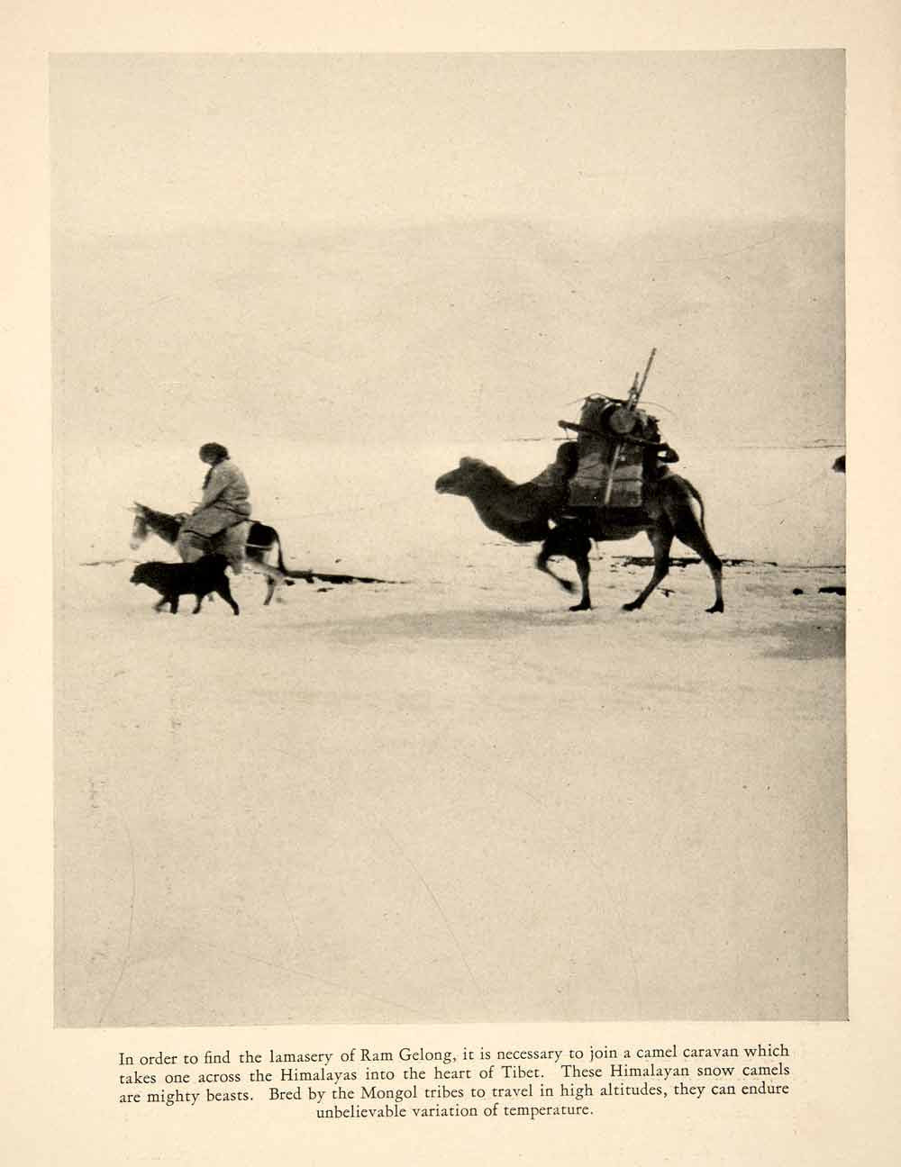 1933 Print India Speak Halliburton Lamasery Ram Gelong Snow Camel Caravan XGJC2