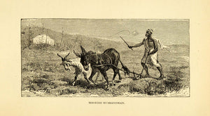 1882 Wood Engraving Art Morocco Moorish Cultivator Donkey Goat Agricultural XGK1