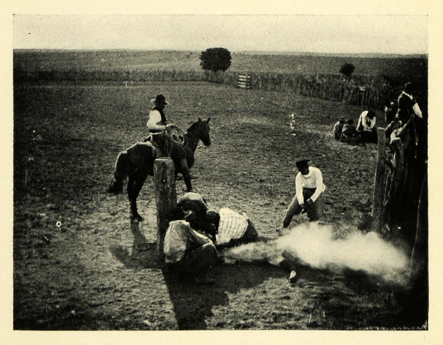 1906 Print Argentina Uruguay Branding Horses Equine Farming Tattoo Farming XGK5