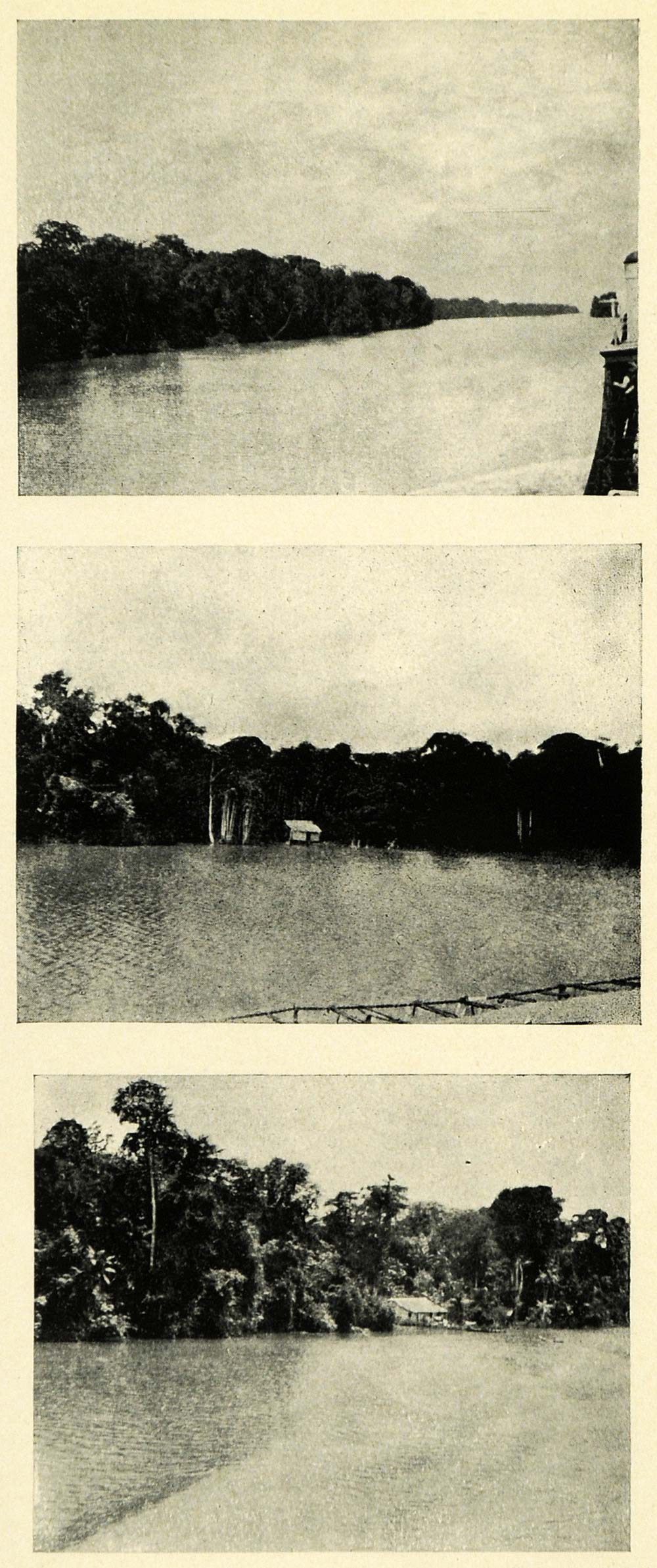 1906 Print Amazon River Santarem Para Obidos Shore Forest Brazil Narrows XGK5