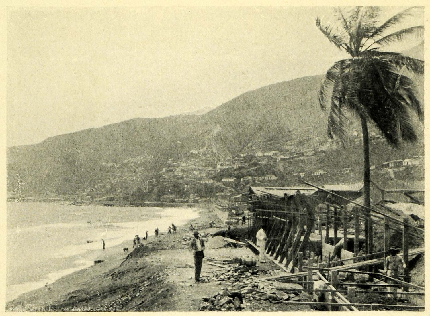 1906 Print Venezuela Sea La Guayra Maiquetia Vargas Port Palm Landscape XGK5