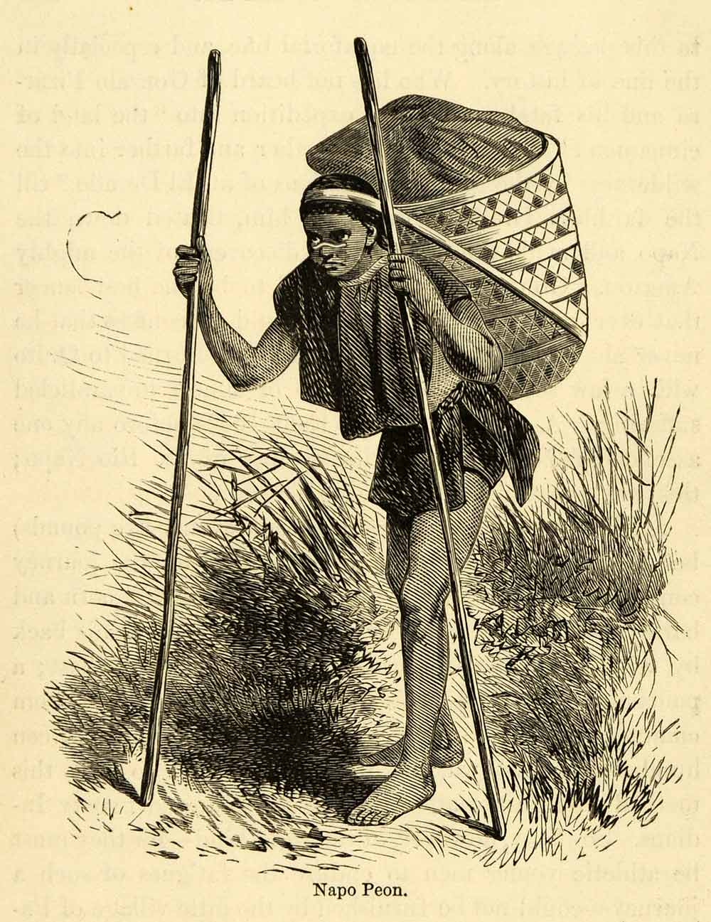 1875 Lithograph Napo Peon Indigenous Hiking Basket Meadow Walking Amazon XGK8