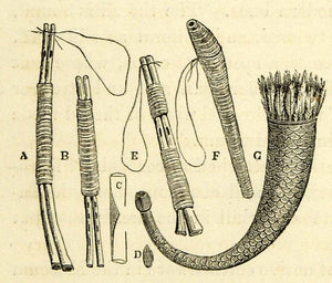 1856 Wood Engraving Indigenous Native Musical Instrument Bone Flute Brazil XGK9