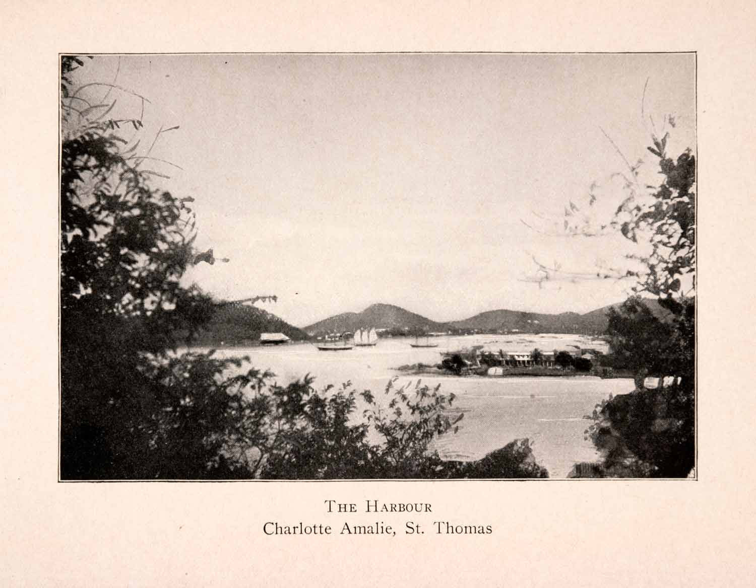 1904 Halftone Print Harbor Charlotte Amalie St Thomas Virgin Islands XGKA3