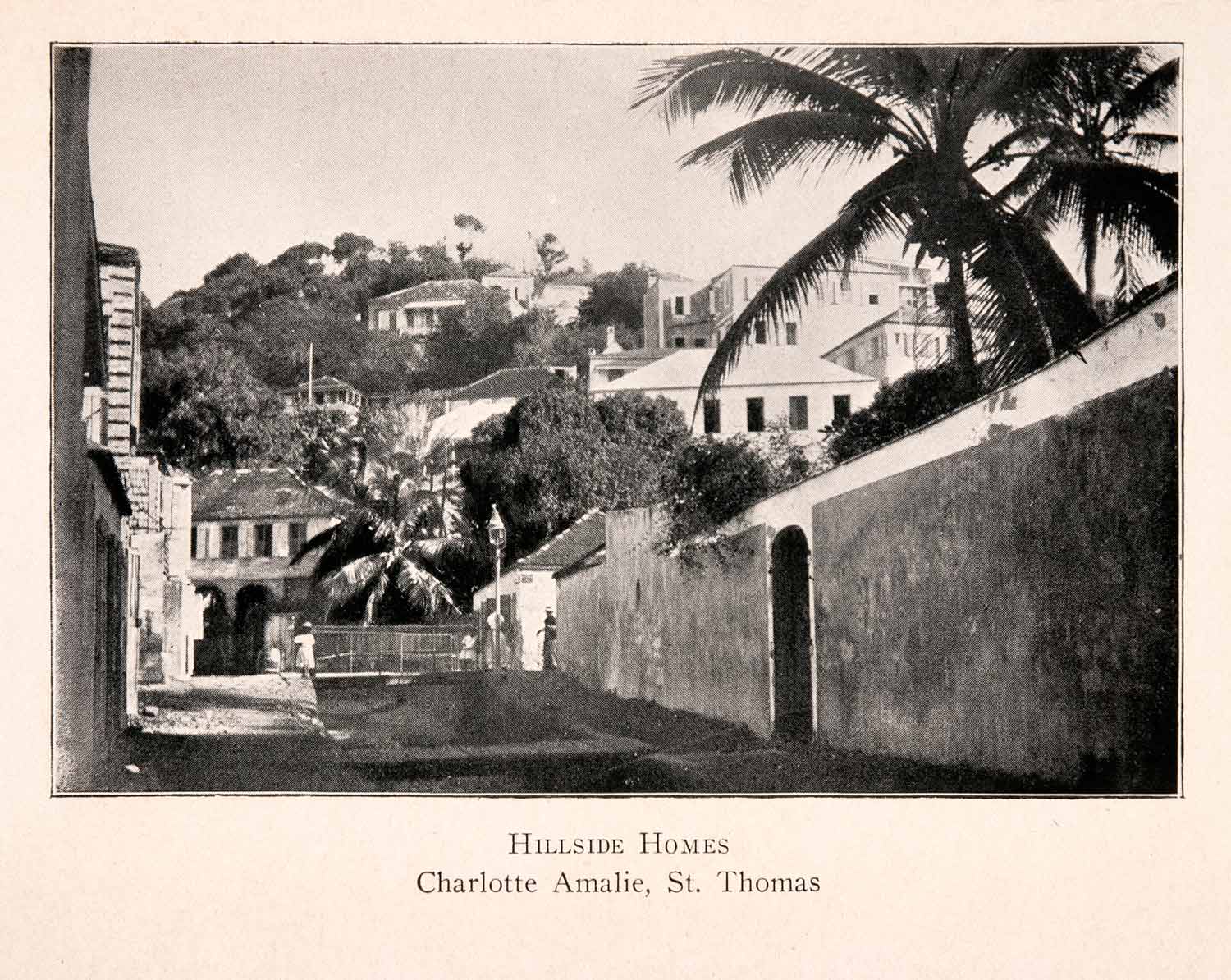 1904 Halftone Print Hillside Dwelling Ethnic Charlotte Amalie St Thomas XGKA3