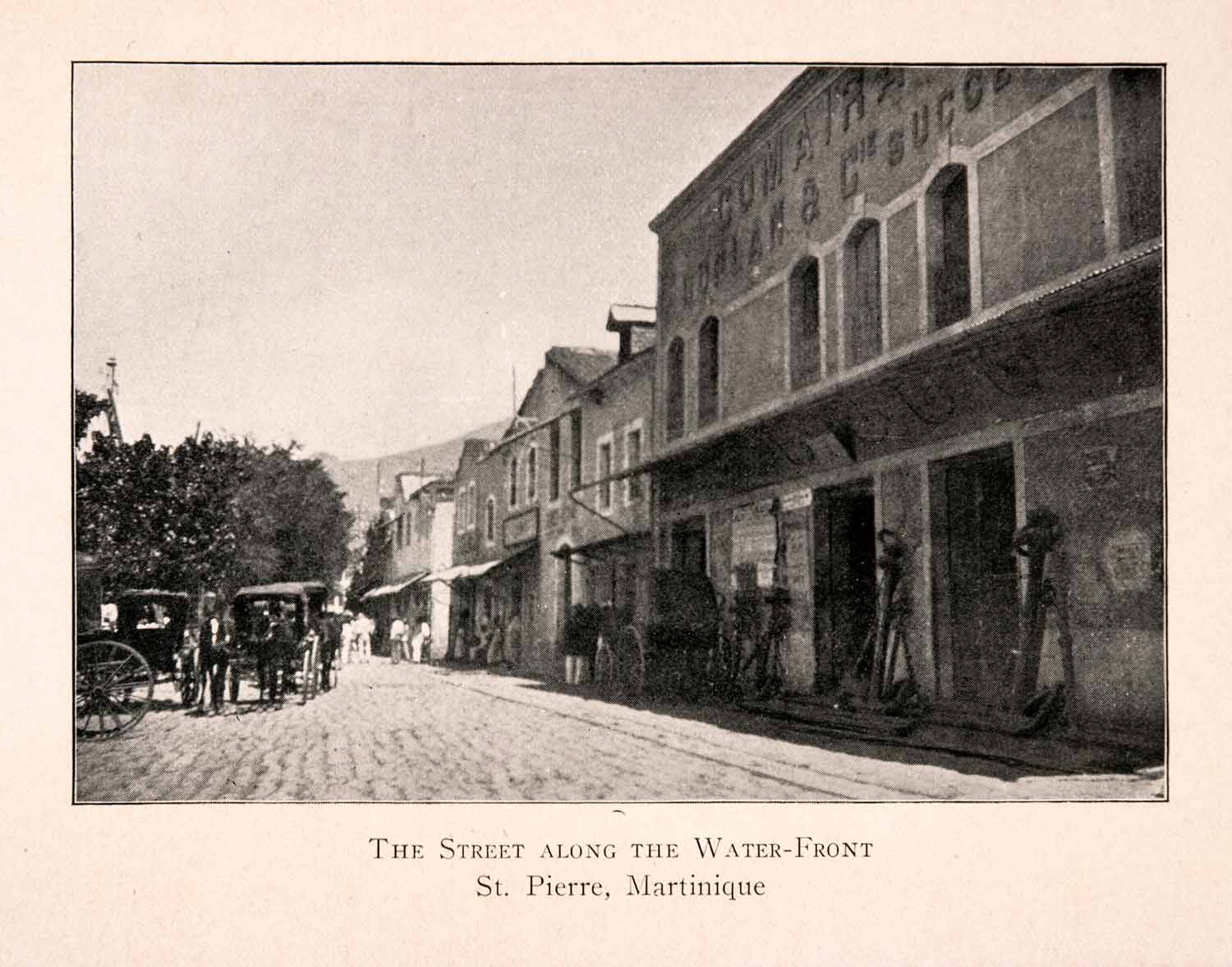 1904 Halftone Print Street Scene St Pierre Martinique Caribbean Carriage XGKA3
