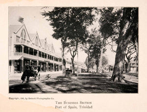 1904 Halftone Print Port of Spain Trinidad Street Scene Historical Tree XGKA3
