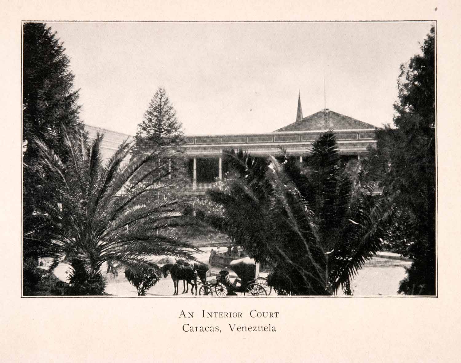 1904 Halftone Print Caracas Venezuela Courtyard Palm Tree Horse Carriage XGKA3