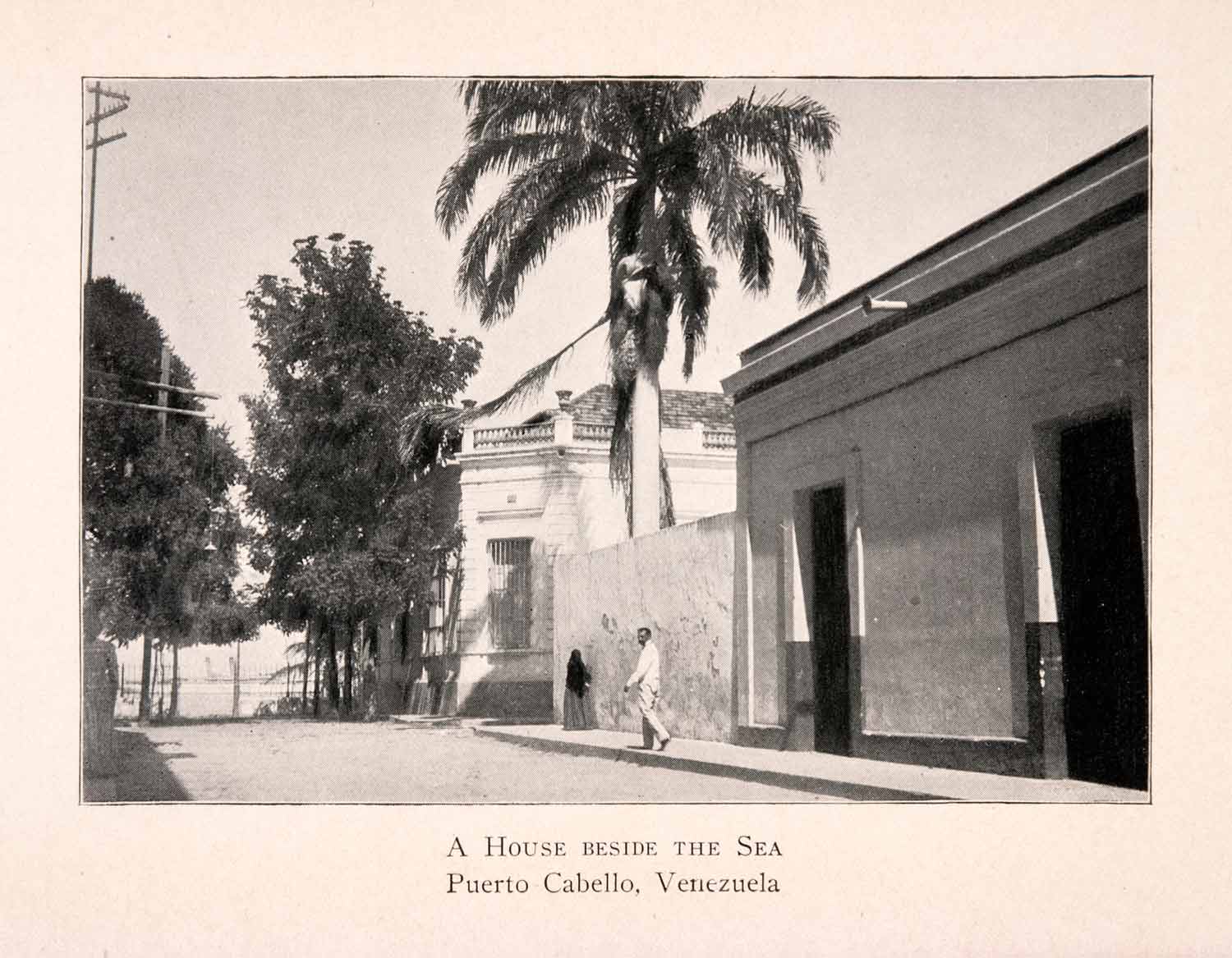 1904 Halftone Print Puerto Cabello Venezuela Street Scene Palm Historical XGKA3