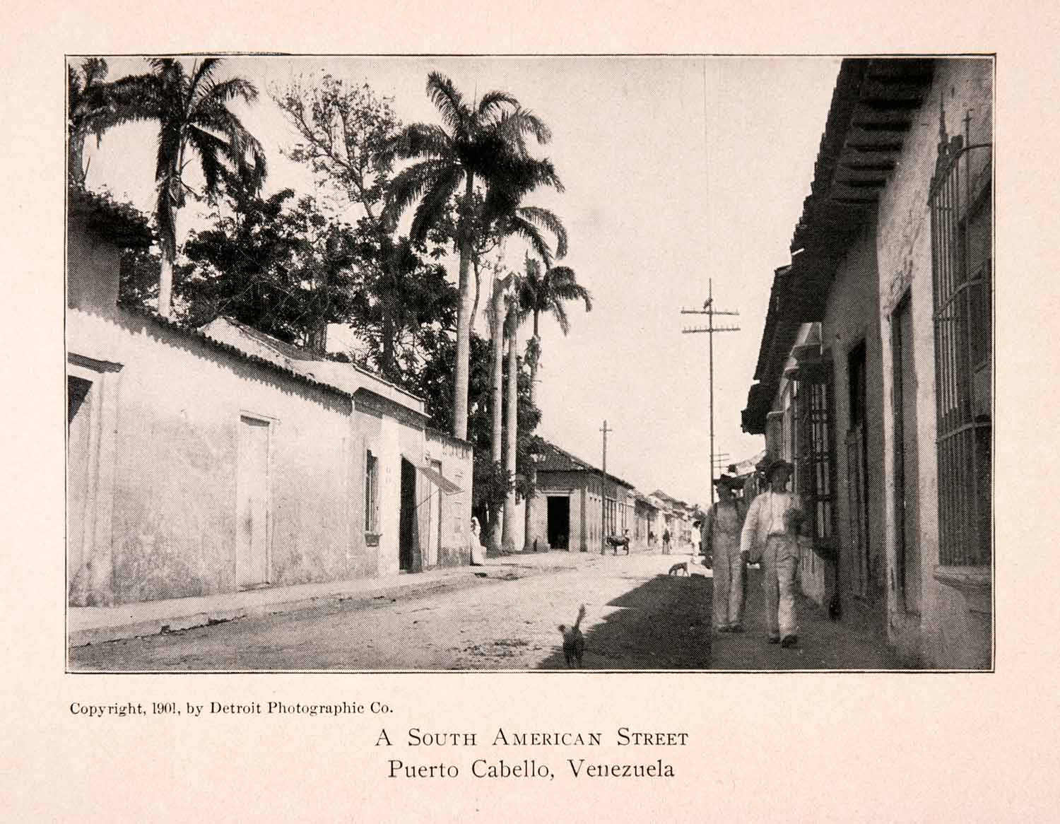 1904 Halftone Print Puerto Cabello Venezuela Street Scene Dog Native XGKA3